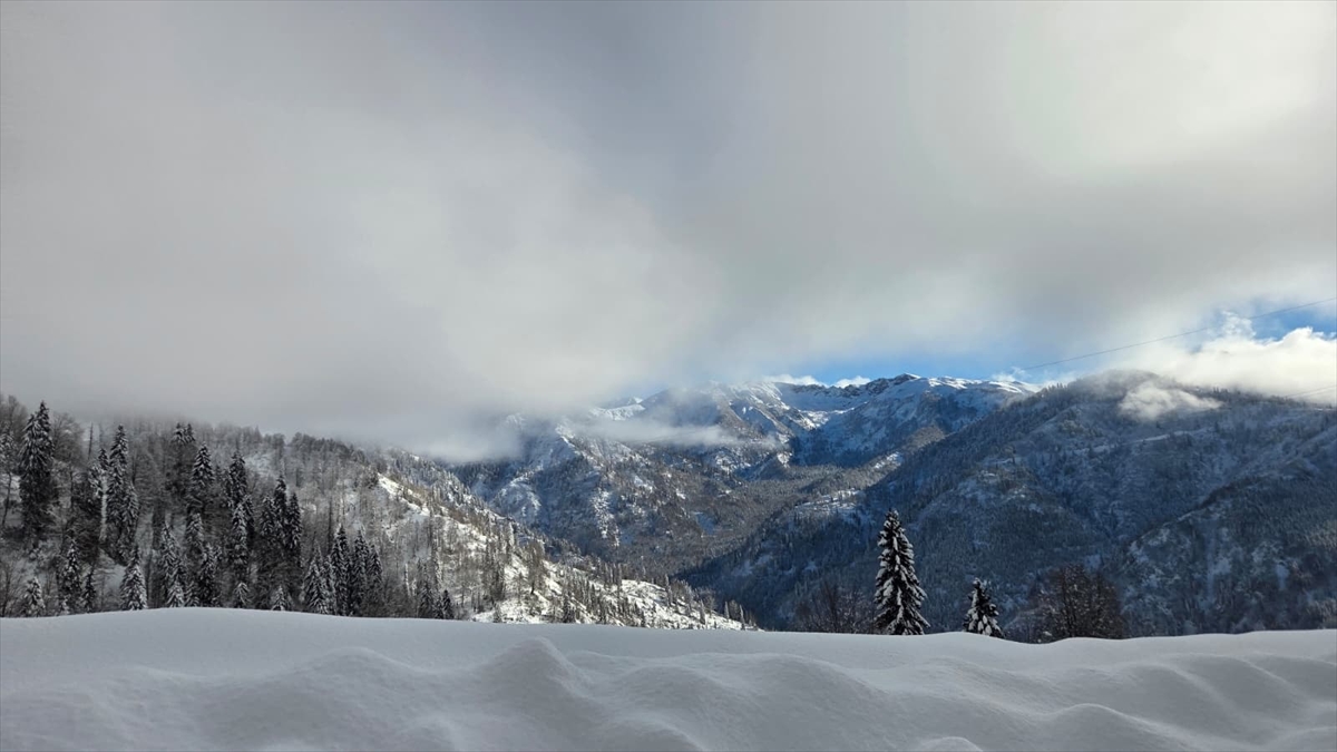 Türkiye’nin biyosfer rezervi alanı Camili Havzası beyaz örtü ile kaplandı