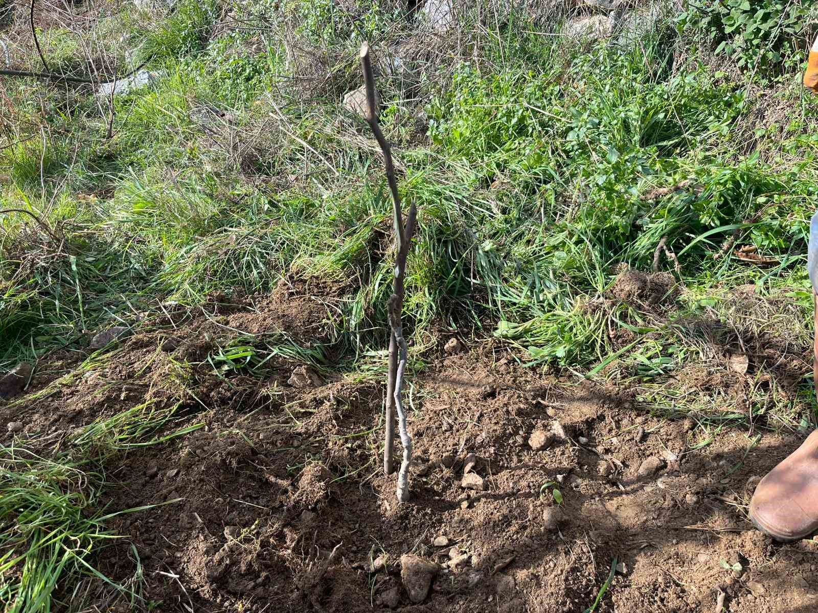 Antalya’da 82 yaşındaki yeminli mali müşavirden köy hayatına örnek proje
