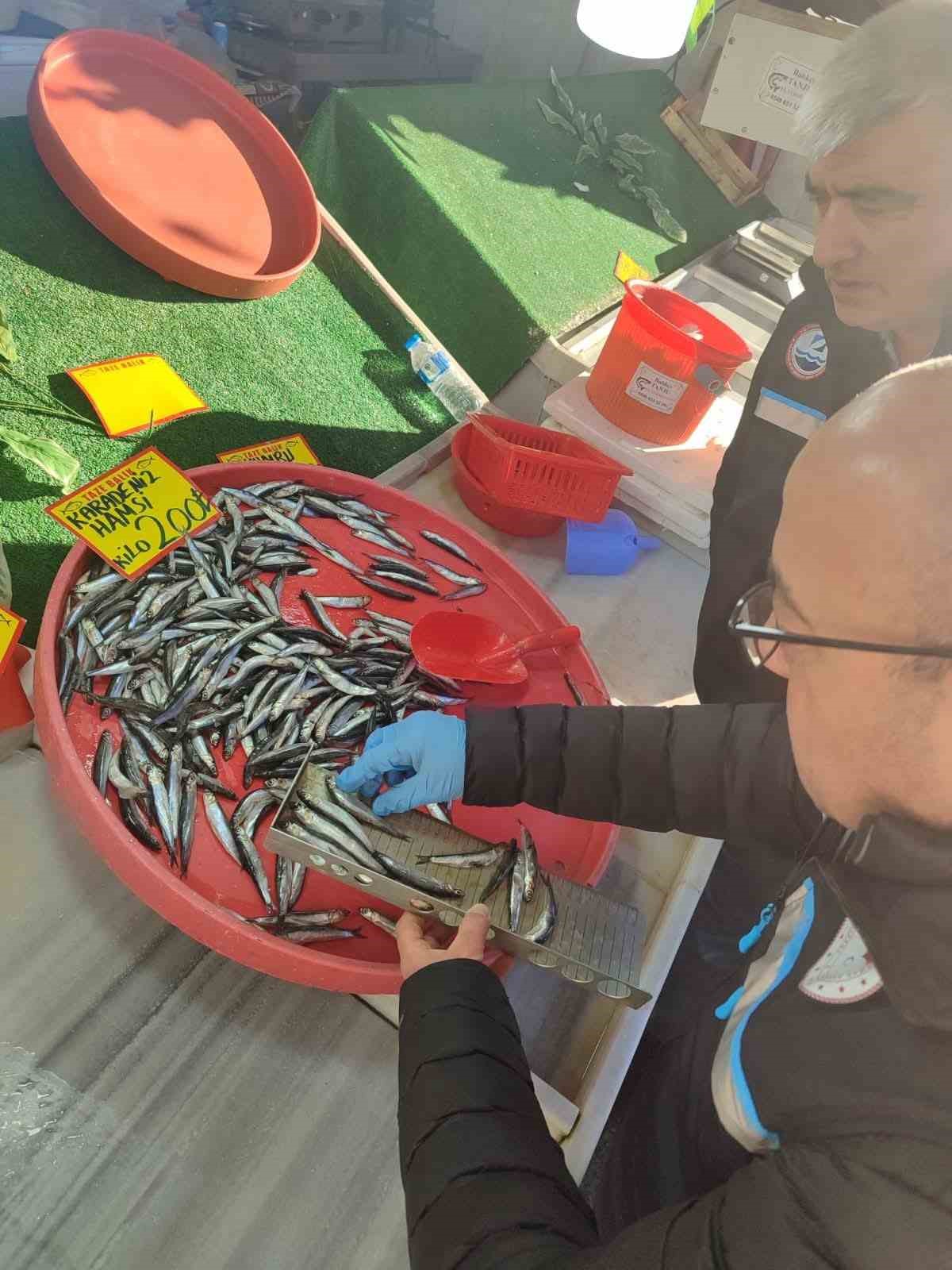 Balık tezgâhları yakın takipte
