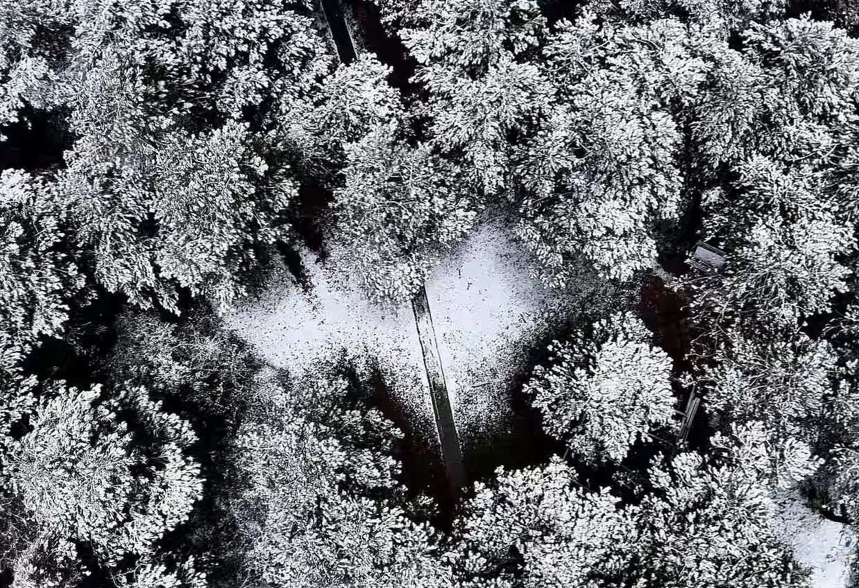 Başakşehir Şamlar Tabiat Parkı beyaza büründü
