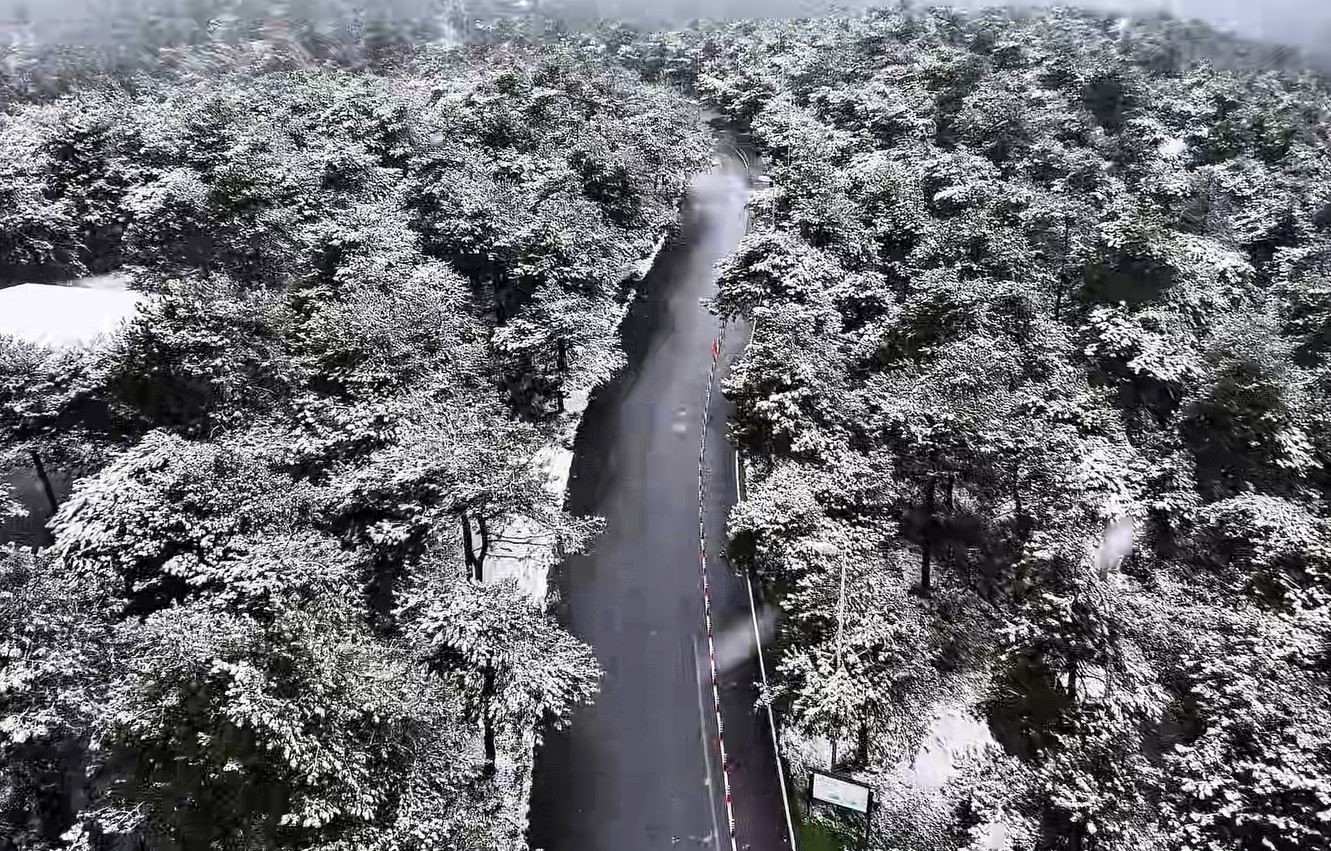 Başakşehir Şamlar Tabiat Parkı beyaza büründü
