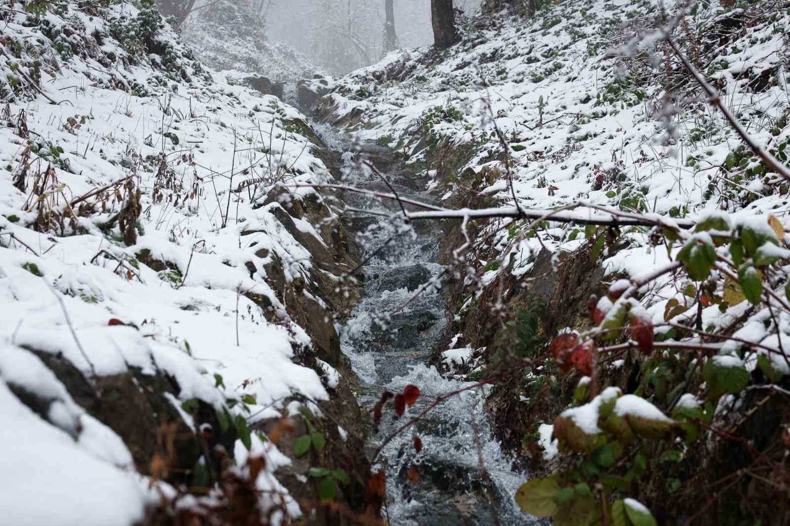 Beyaz örtü Sapanca Gölü’nü besleyen derelere can oldu
