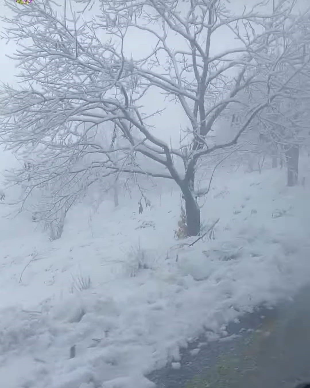 Beyaz örtüyü gören Aydınlılar zirveye tırmandı
