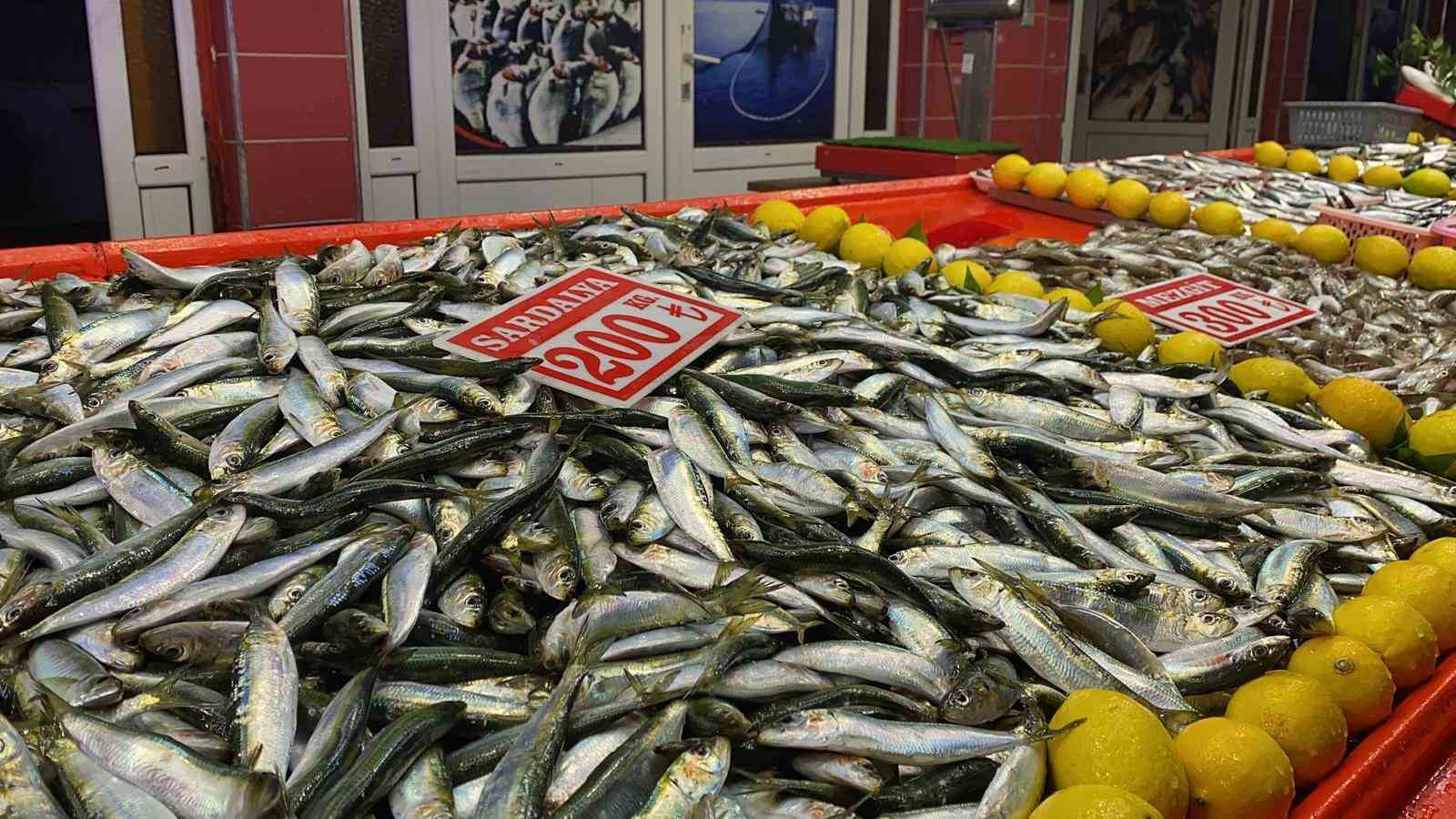 Bolu’da balık tezgahlarını fırtına vurdu
