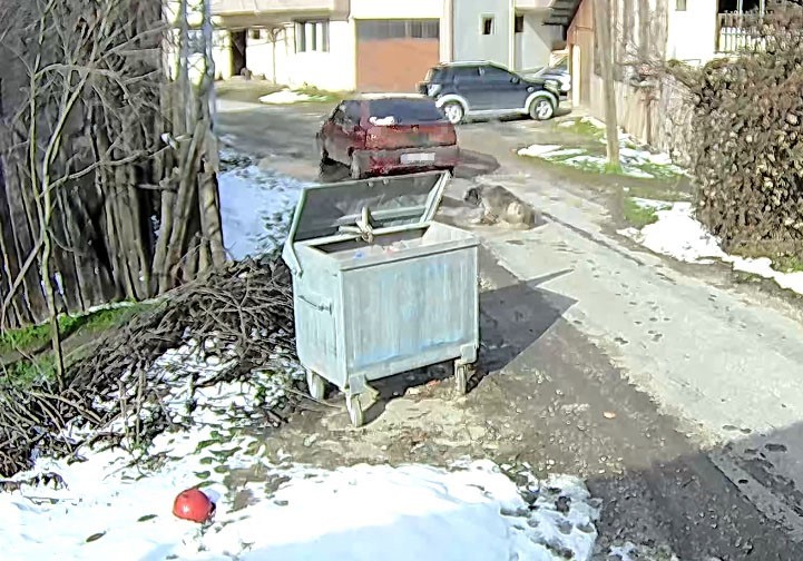 Bolu’da ezilen köpeğin röntgeninden 400 saçma çıktı:
Bolu’da ezilen köpeğin röntgeninden 400 saçma çıktı: