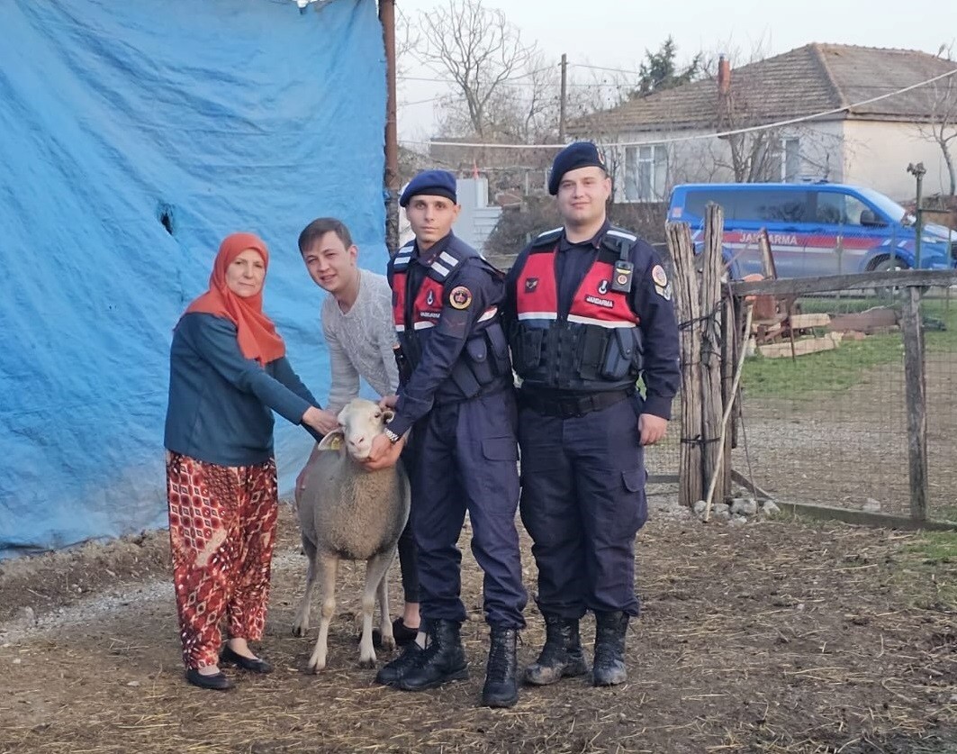 Çanakkale’de kaybolan 24 küçükbaş hayvan jandarma tarafından bulundu
