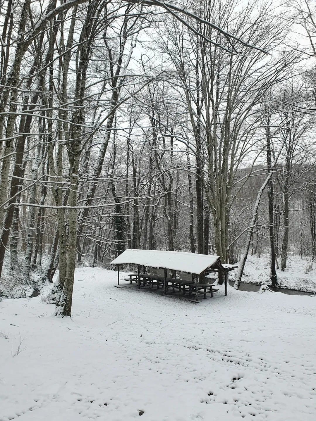 Demirköy’de kartpostallık kış manzarası
