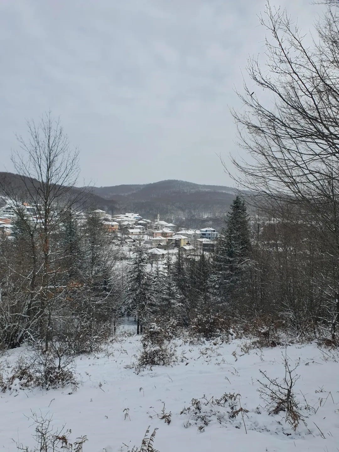 Demirköy’de kartpostallık kış manzarası
