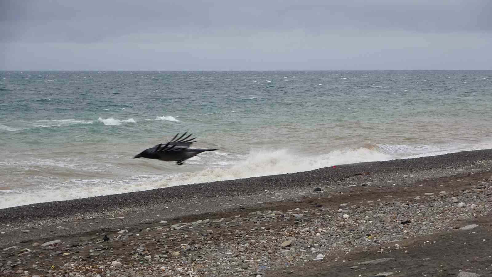 Denizdeki fırtına avını etkilese de balık fiyatlarını etkilemedi
