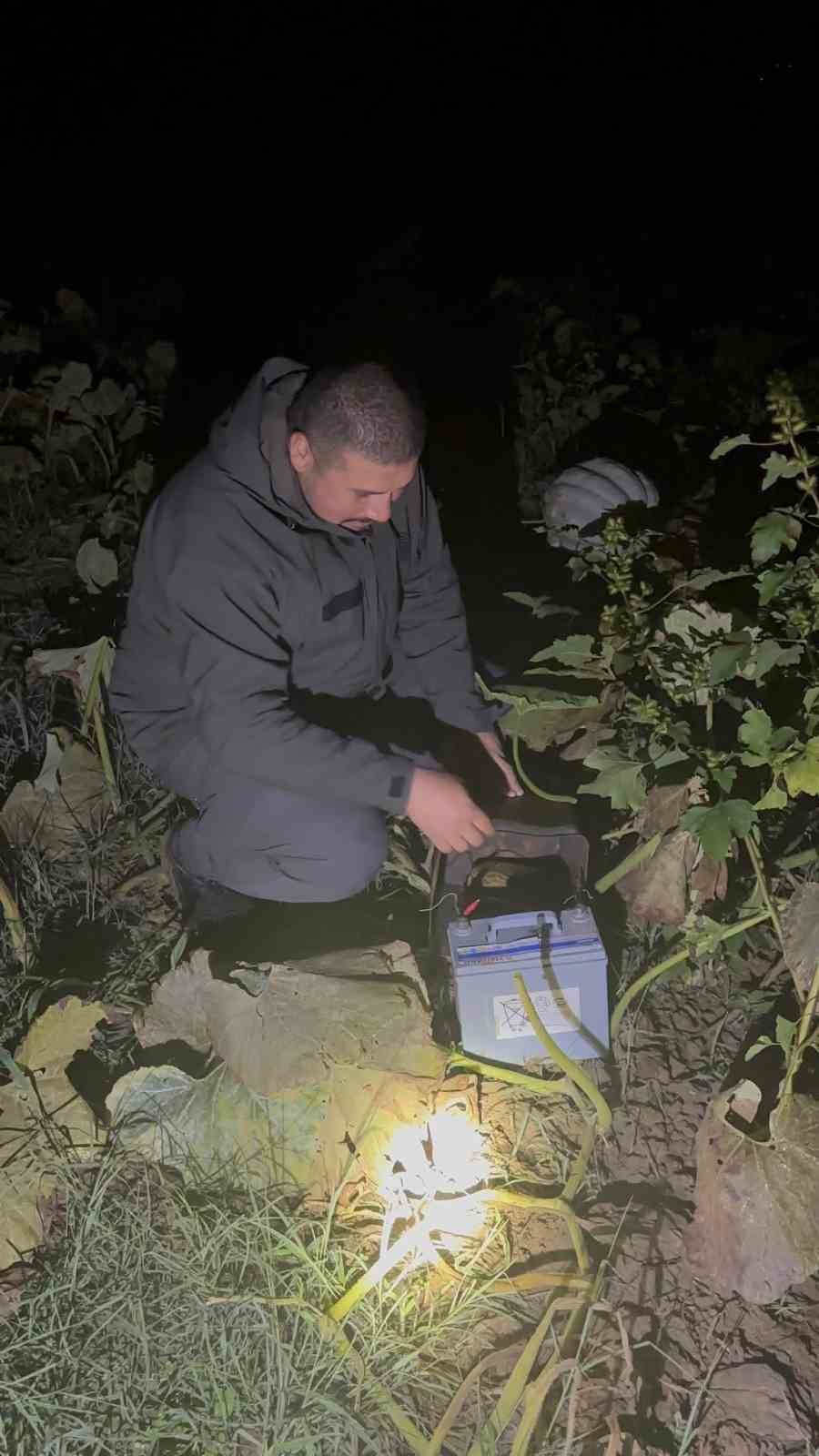 Düzce’de kanunsuz ava geçit yok
