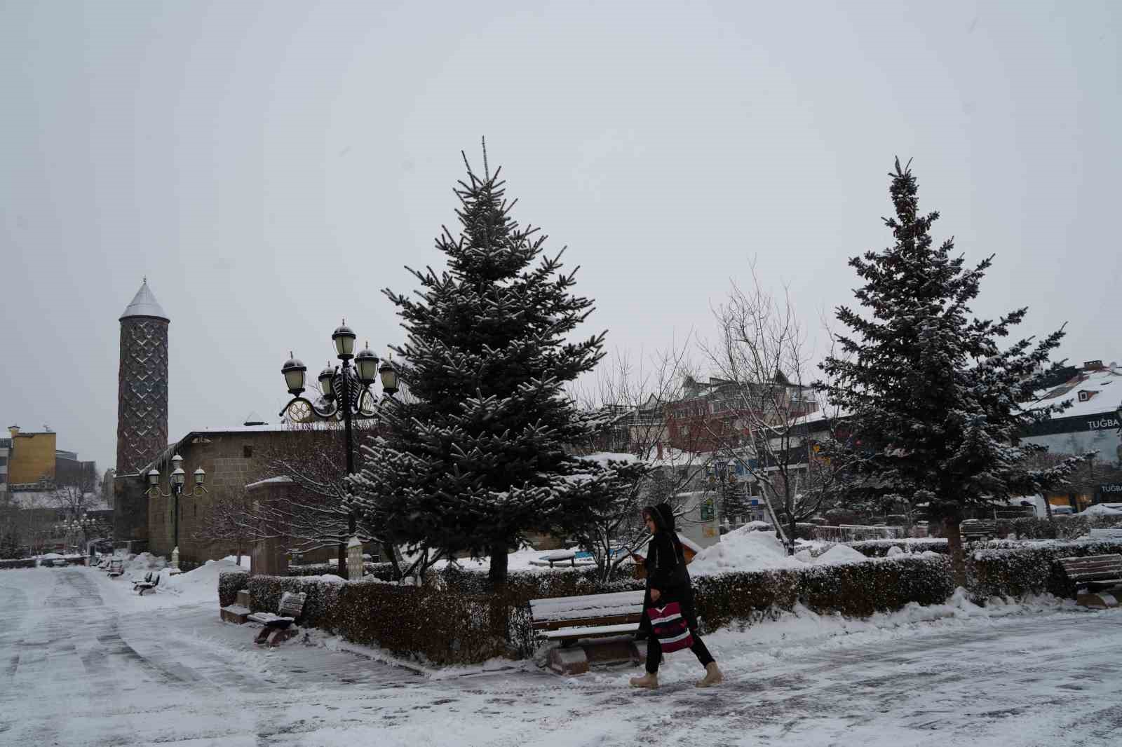 Erzurum’da kar yağışı etkili oluyor

