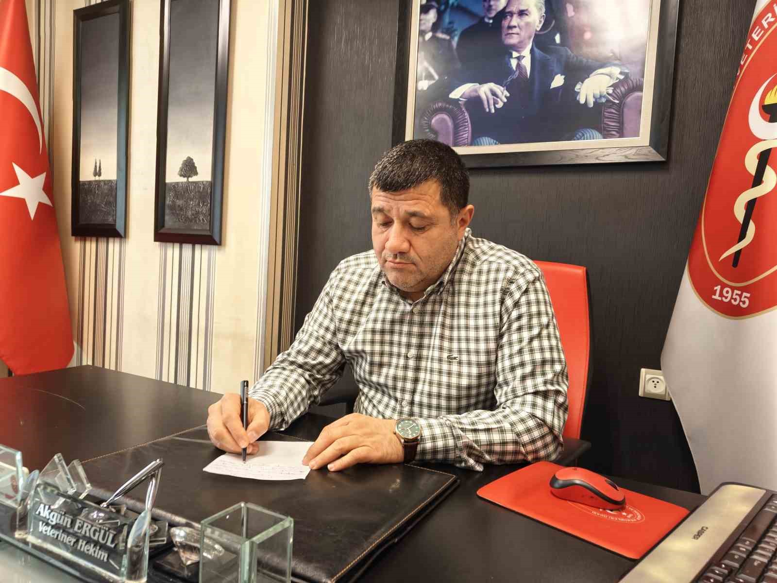 Evcil hayvanlarda kışın tüy dökme hastalık değil
