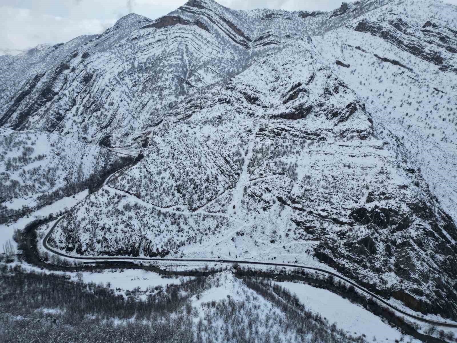 Karla birlikte meşe ormanı beyaza büründü
