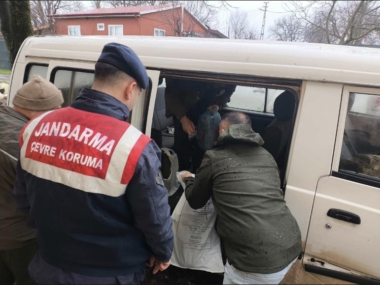 Kırklareli’de yasa dışı karaca avına ağır ceza
