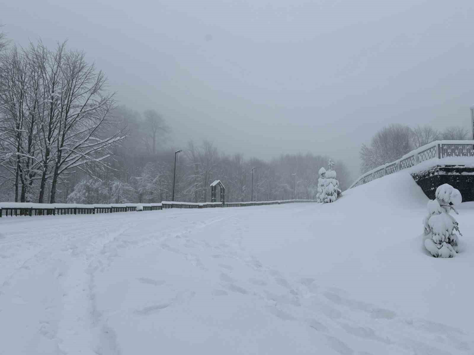 Kocaeli’nin yüksek kesimlerine lapa lapa kar yağıyor
Kocaeli’nin yüksek kesimlerine lapa lapa kar yağıyor