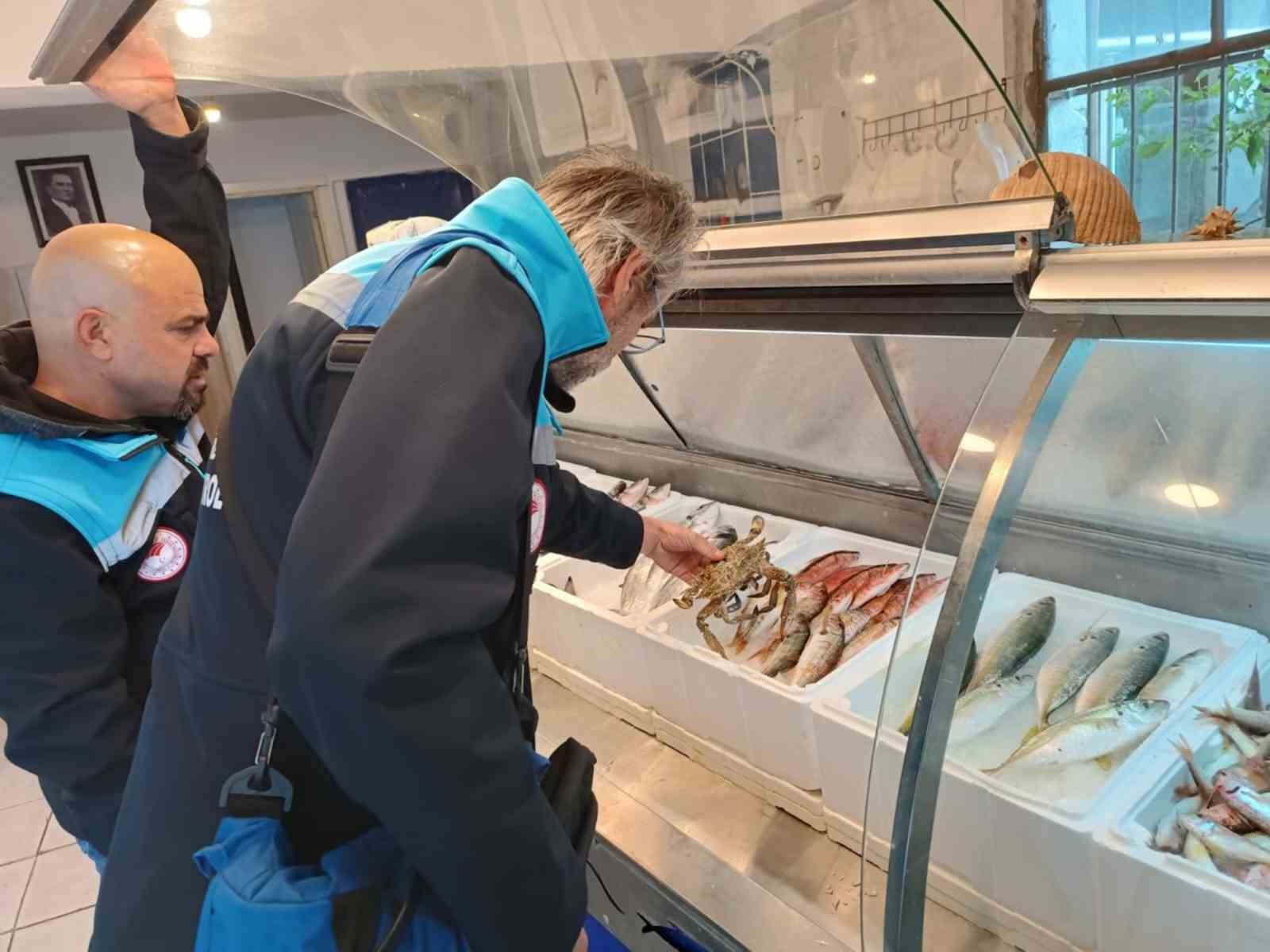 Muğla’da 6 işletmeye 379 bin TL ceza
