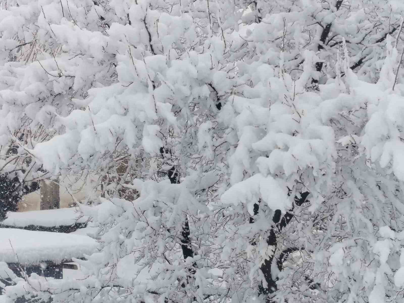 Pütürge’de kar kalınlığı 1 metreye yaklaştı
