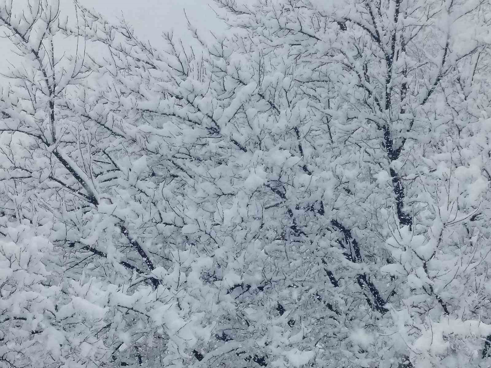 Pütürge’de kar kalınlığı 1 metreye yaklaştı
