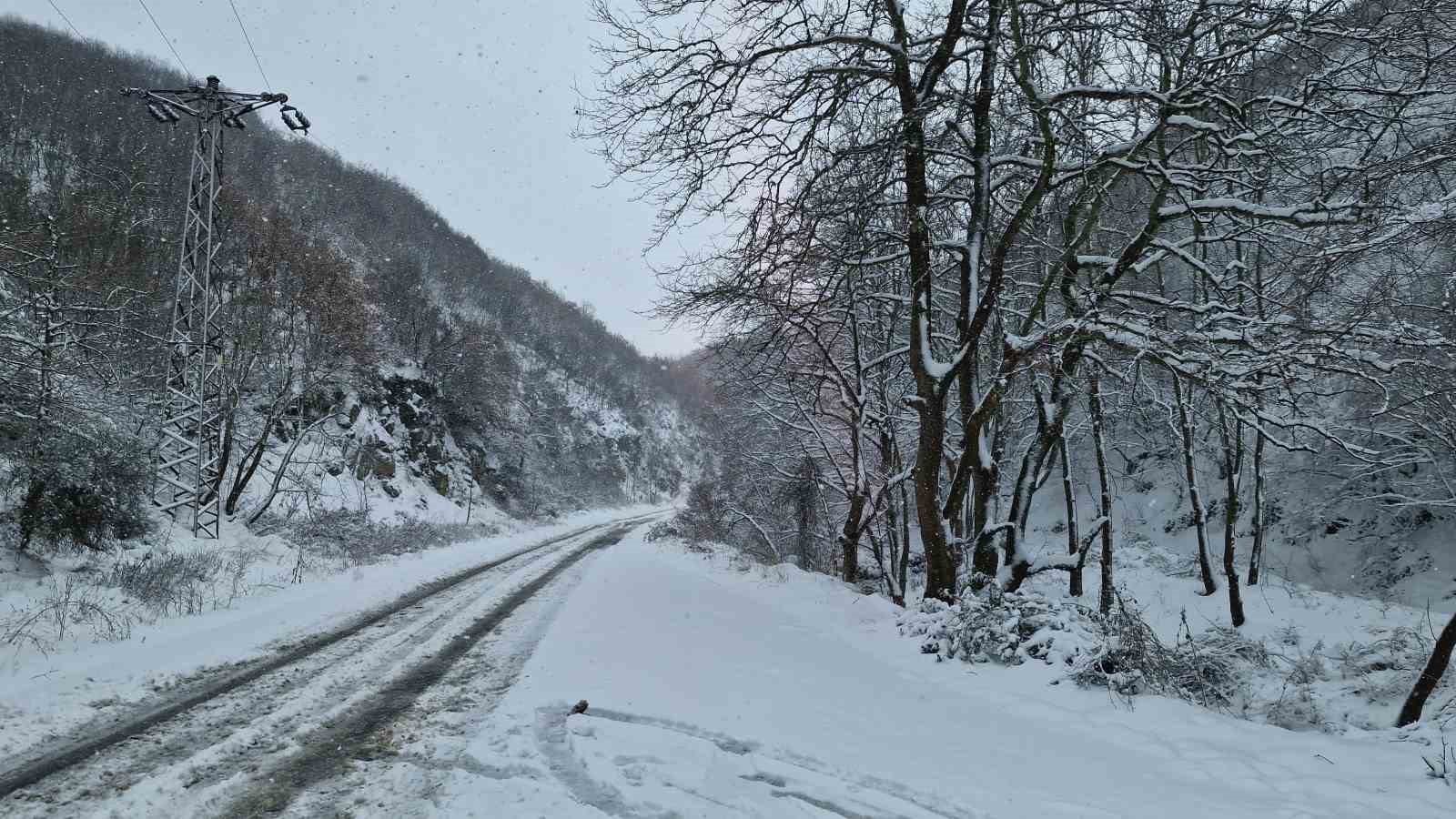 Tekirdağ’ın yüksek kesimleri yağan karla beyaza büründü
