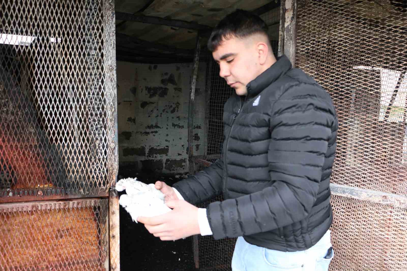 Türkiye’de bir ilkti: Diyarbakır’daki güvercin otelinde çıkan yangında 100’den fazla kuş telef oldu
