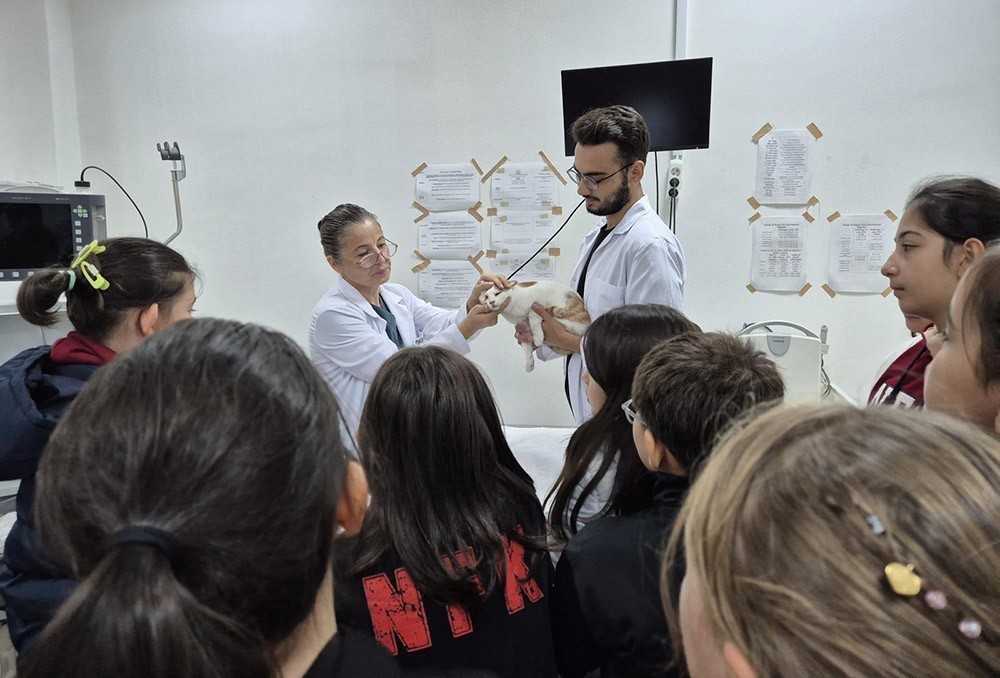 Veteriner Fakültesinde 3 bin hayvana şifa
