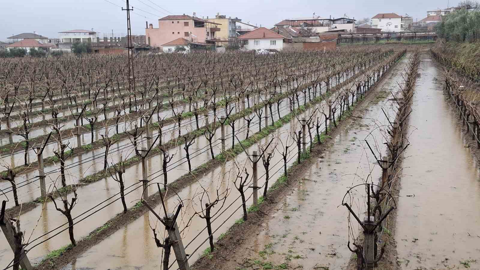 Yağmurlar bağcıların yüzünü güldürdü
