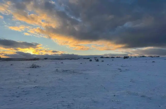 Çimsa, şehitlik için 80 yıllık rezervden feragat ediyor
