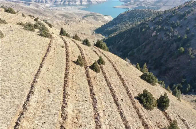 Doğu'da 9 milyon tohum ve fidan toprakla buluşturuldu