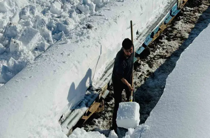 Şırnak’ta arıcıların zorlu kış mesaisi

