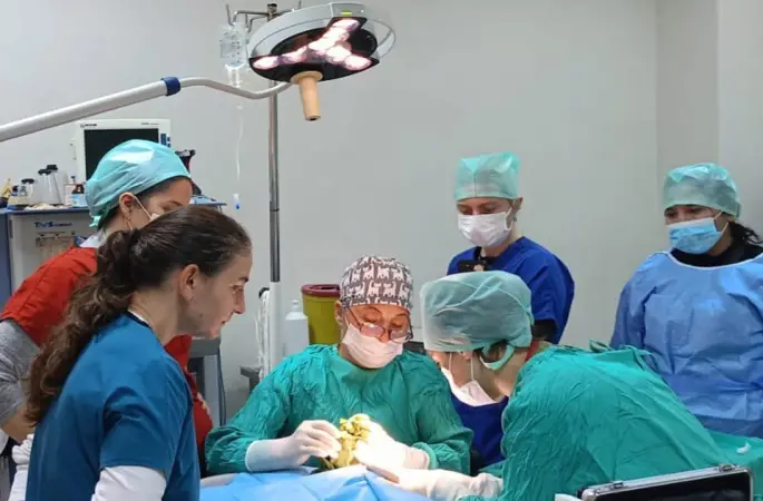 Veteriner Fakültesinde 3 bin hayvana şifa
