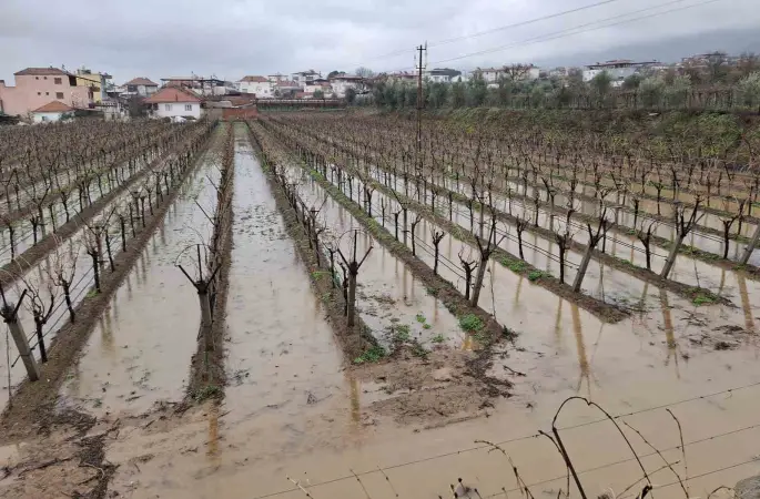 Yağmurlar bağcıların yüzünü güldürdü
